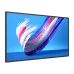 Профессиональный дисплей Philips Q-Line 75BDL3650Q 75" 4K UHD ADS Черный