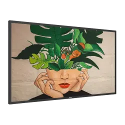 Профессиональный дисплей Philips D-Line 75BDL4650D 75" 4K UHD ADS Черный