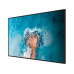 Профессиональный дисплей Hisense 43DM66D 43" 4K UHD, 500 кд/м², 24/7